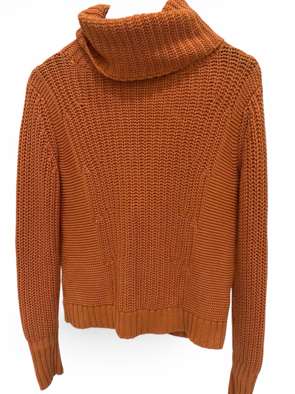 Banana Republic Chunky Knit Turtleneck Sweater in Burnt Orange